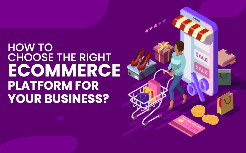 How to Choose the Right Ecommerce Setup for Your Brand in India